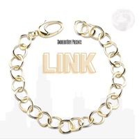 Link - Single - Shizzwhatitiz
