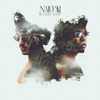 Natural - Victor Lou & Duarte