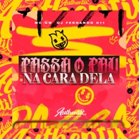 Passo Pau na Cara Dela (feat. MC GW) - Single - DJ Fernando 011