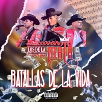 Batallas De La Vida - Single - Los De La Mata