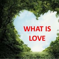 What Is Love - Single - Babyface Mykie