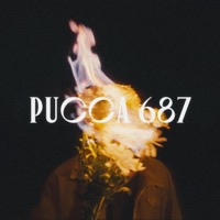 PUCCA 687 - Single - Bagster
