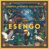 London Afrobeat Collective - Freedom