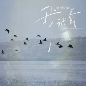我试着 - Single