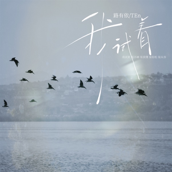 我试着 - Single