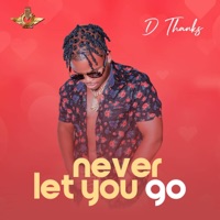 Never Let you go - Single - D Thanks