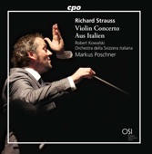 Violin Concerto in D Minor, Op. 8, TrV 110: III. Rondo. Presto artwork
