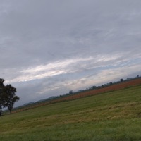 Gray Afternoon - Single - Maty