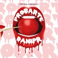 Probarte - Single - DaniPr