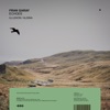Illusion cover art