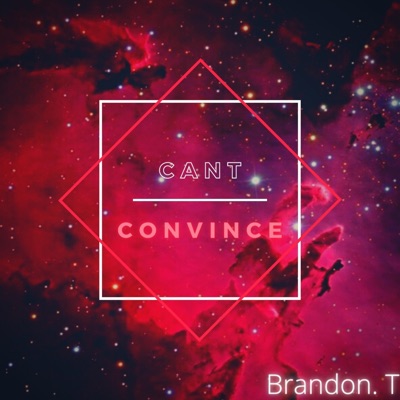 Can't Convince - Single