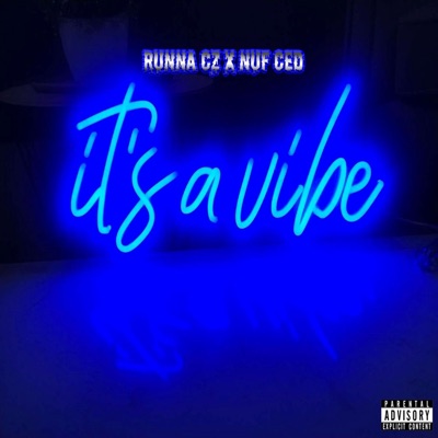 It's a Vibe (feat. Runna Cz) - Single