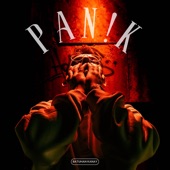 PAN!K artwork
