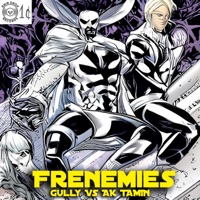 Frenemies (feat. AkTamin) - Single - Gully