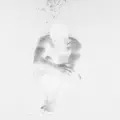 Scintille
