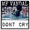 Dont Cry - Single