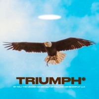 Triumph - Single - Naj The Leader
