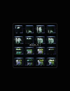 Ouve Thee Arthur Layne, vê vídeos de música, lê a biografia, vê as datas da digressão e muito mais!