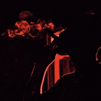 Dancing In the Flames (feat. Zoot & Dariansincebirth) [slowed + reverb] - Single - Wolff359