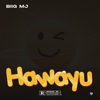 Hawayu ? - Single - Biig MJ