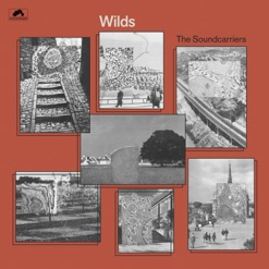 WILDS cover art