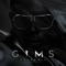 PS - GIMS lyrics