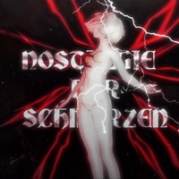 Nostalgie der Schmerzen (feat. ZxmE) - Single - yokay