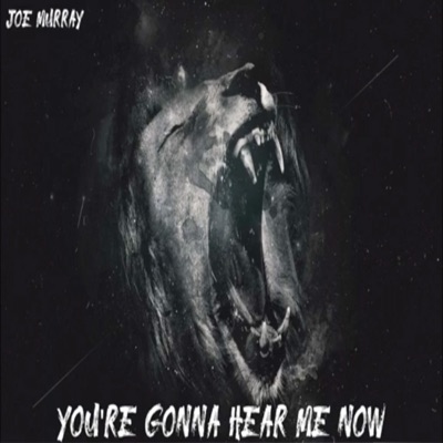 You're Gonna Hear Me Now - Single