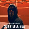 Sub Pielea Mea (Midi Culture Remix)