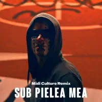 Sub Pielea Mea (Remix)