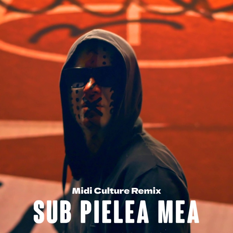 Sub pielea mea (Midi Culture Remix) - Carla's Dreams: Song Lyrics ...