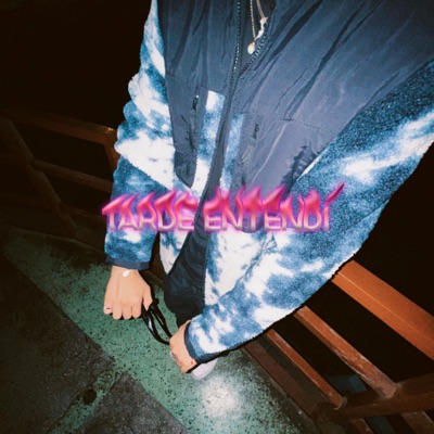 Tarde Entendí - Single