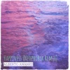 Happiness (Neophobia Remix) - Single