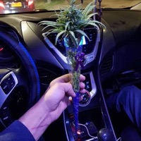 Chase the Bag (Freestyle) - Single - Mr. Echo