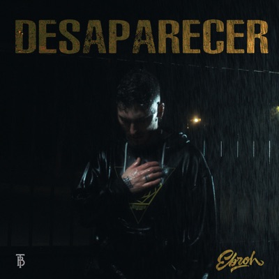 Desaparecer - Single