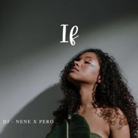 DJ NENE (IF) (feat. PERO) - Single - DJ NENE