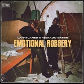 Emotional Robbery artwork