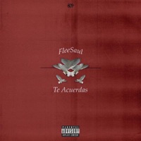 Te Acuerdas - Single - FleeSaul