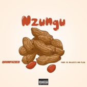 Nzungu artwork