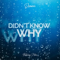 Didn't Know Why (feat. 24hrs) - Single - Damani