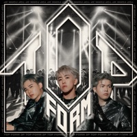 TOP FORM - Single - 3P