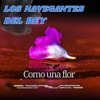 Como una flor - Single