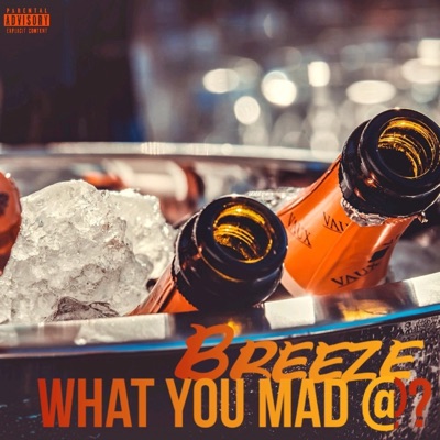 What You Mad At ? (Freestyle) - Single