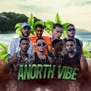 Anorth Vibe