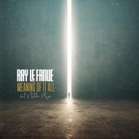 Meaning of It All (feat. Natalie Major) - Single - Ray Le Fanue
