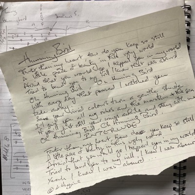 Humming Bird - Single