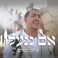 אילון עמרם
