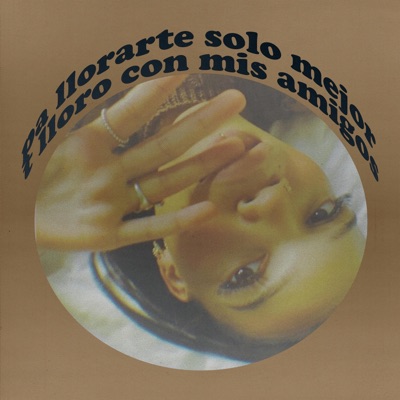 Pa llorarte solo mejor t lloro con mis amigos - Single