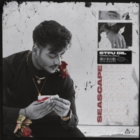 Seascape (Radio Edit) - Single - Hommie Dilliwala