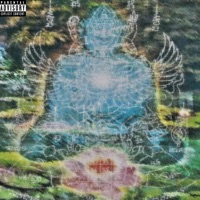 закручую фіону (feat. DANNYPHANTOM) - Single - maco